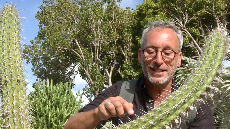 CARNETS SONORES DE GUADELOUPE