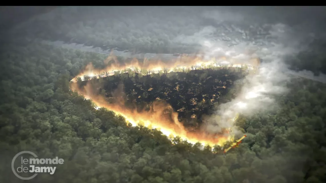 LE MONDE DE JAMY « SECHERESSE INCENDIES, LES SUPER-POUVOIRS DE NOS FORETS» ©Elephant Doc/France.tv Studio