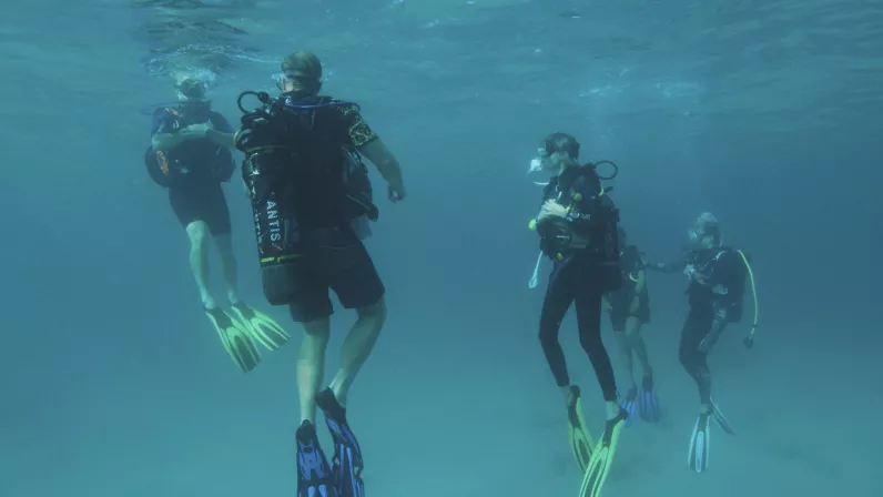 Plonger pour guérir