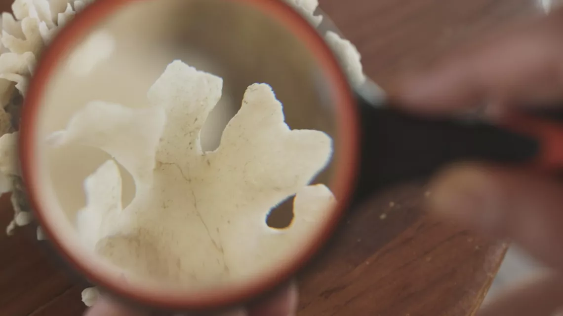 Bora Bora, le laboratoire du futur