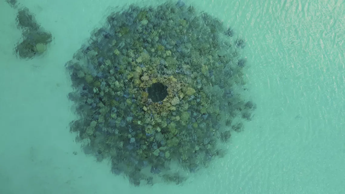 Bora Bora, le laboratoire du futur