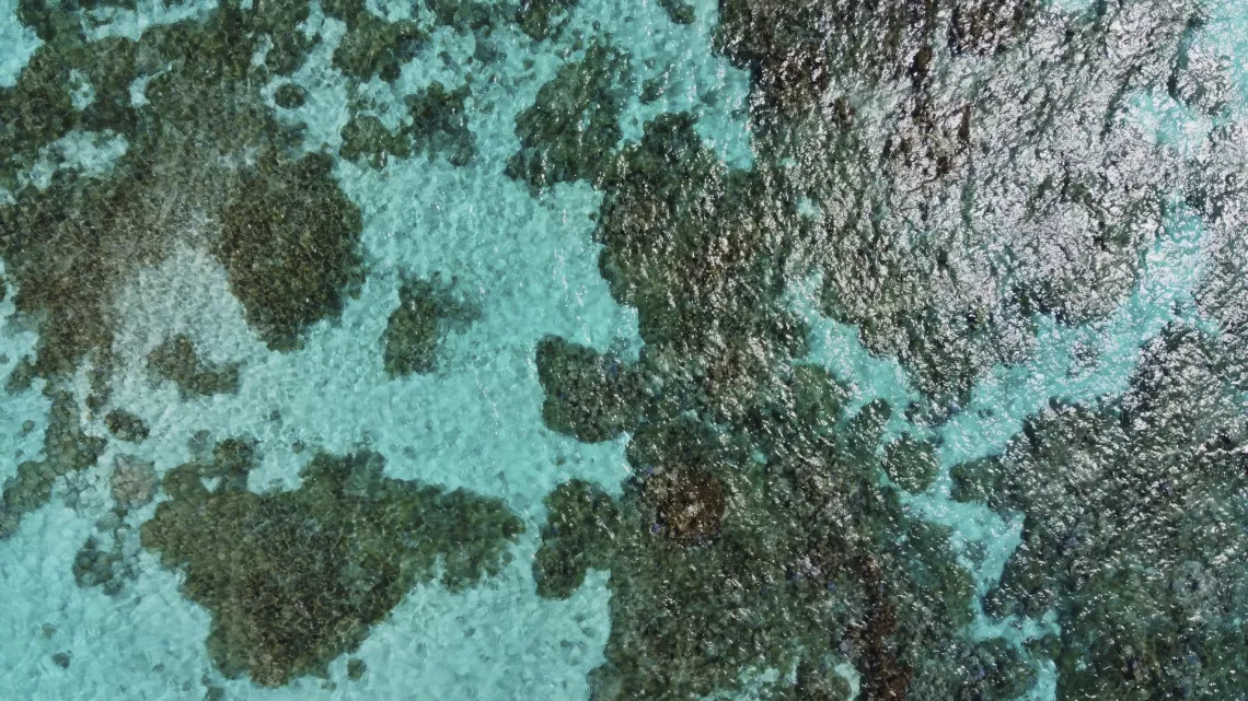 Bora Bora, le laboratoire du futur