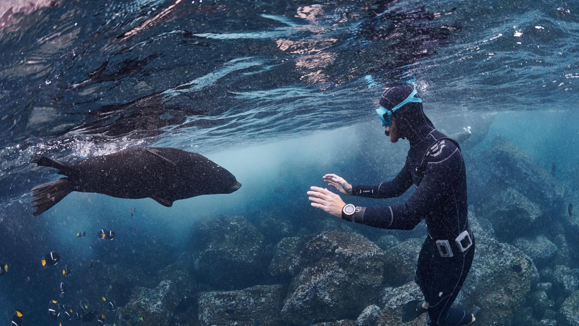 Requins, l'aventure secrète ©Frédéric BUYLE