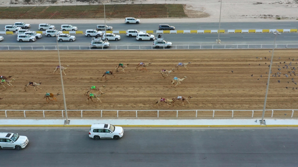 Qatar, au pays des mille et une ruses ©Elephant Doc