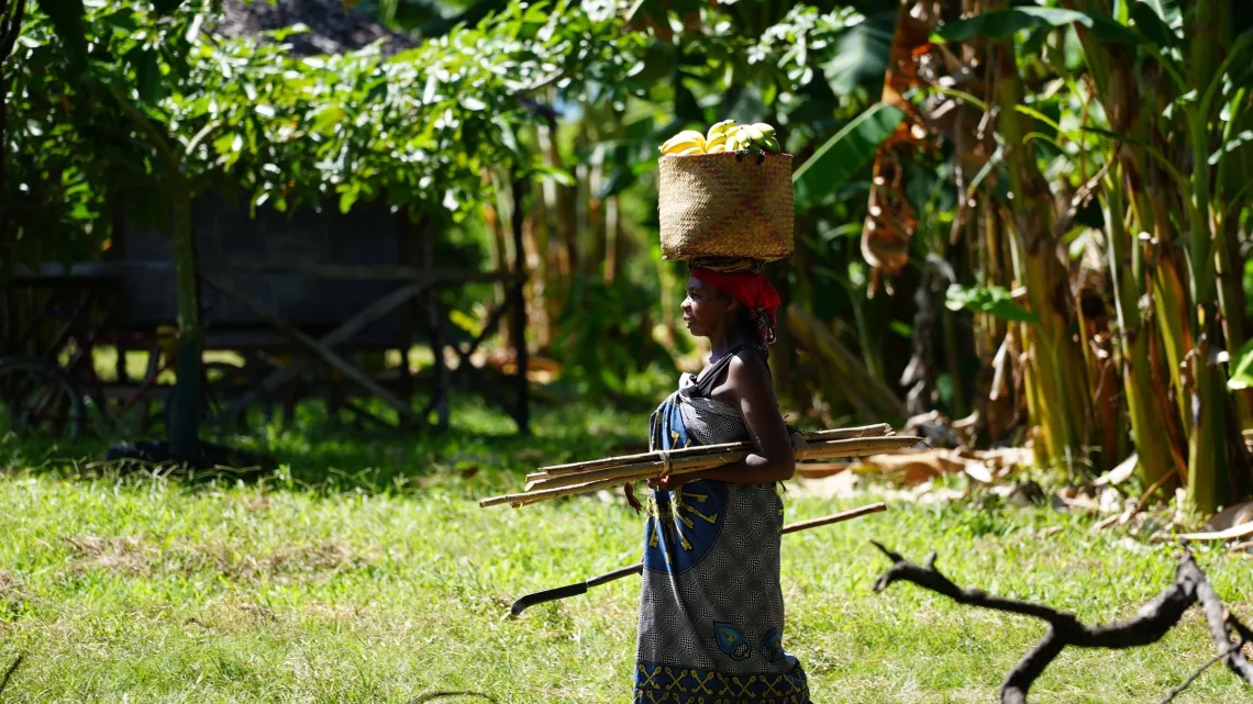 EB Madagascar et ses trésors naturels