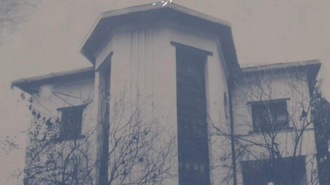 Silent House