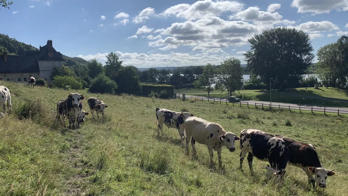 EB Normandie de ferme en ferme
