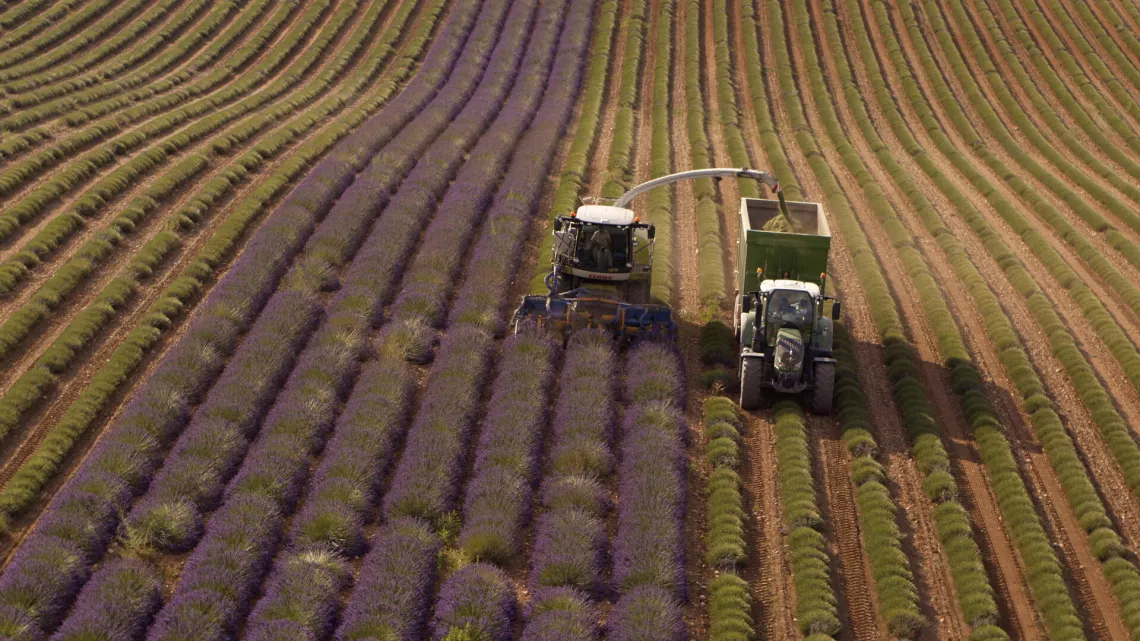 Fabuleuse Provence
