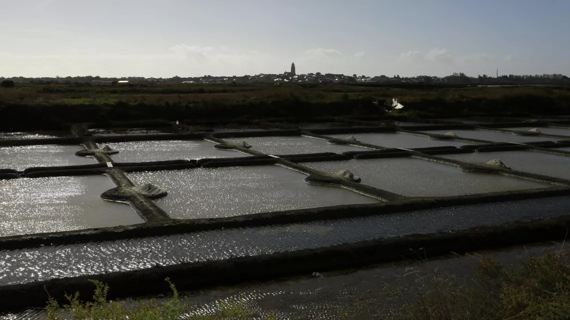 Les salines