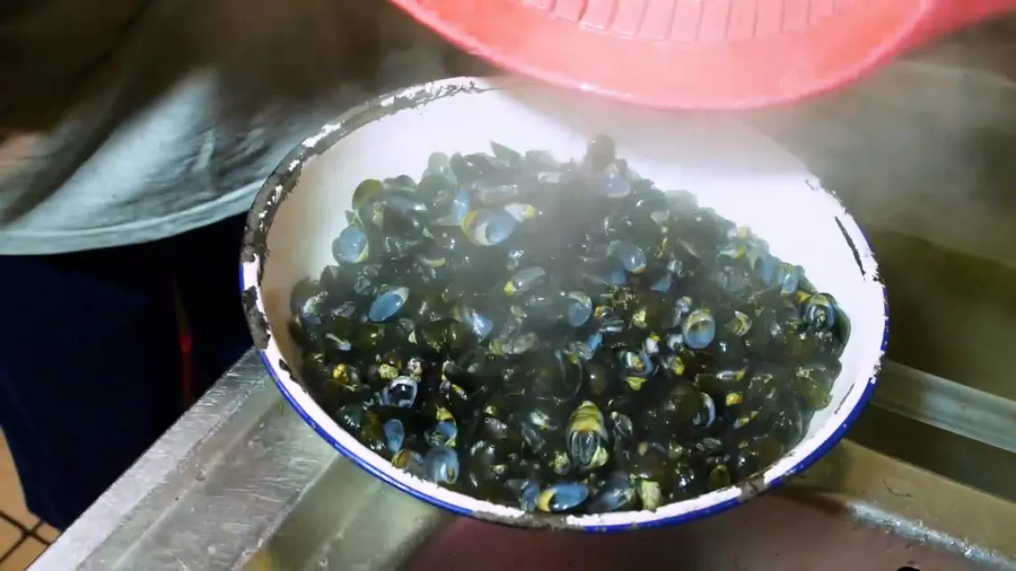 Bouillon coquilles de  Jean Louis Chevalier