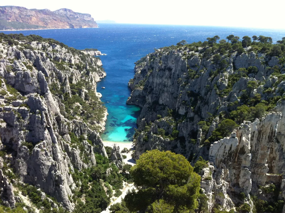 CAPA DES RACINES & DES AILES