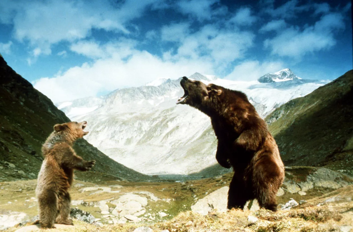 L'Ours L'Ours