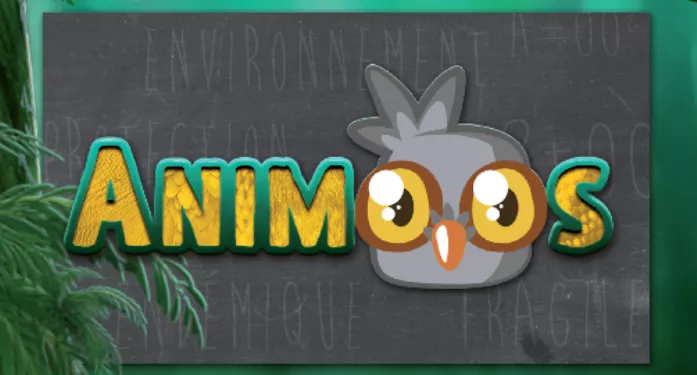 animoos animoos