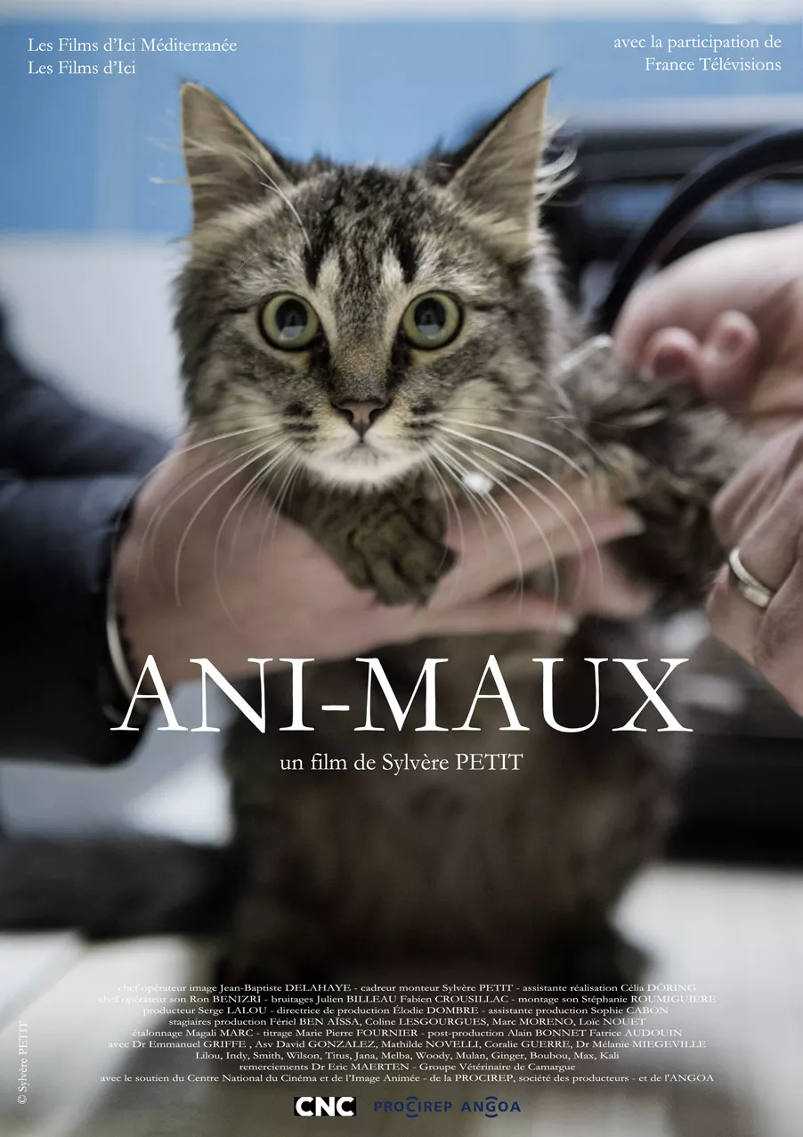 chat chat