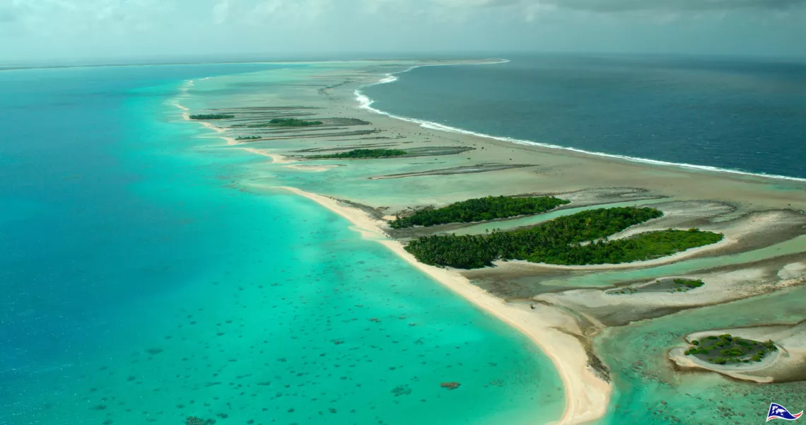 LE GRAND INVENTAIRE DE LA PLANÈTE