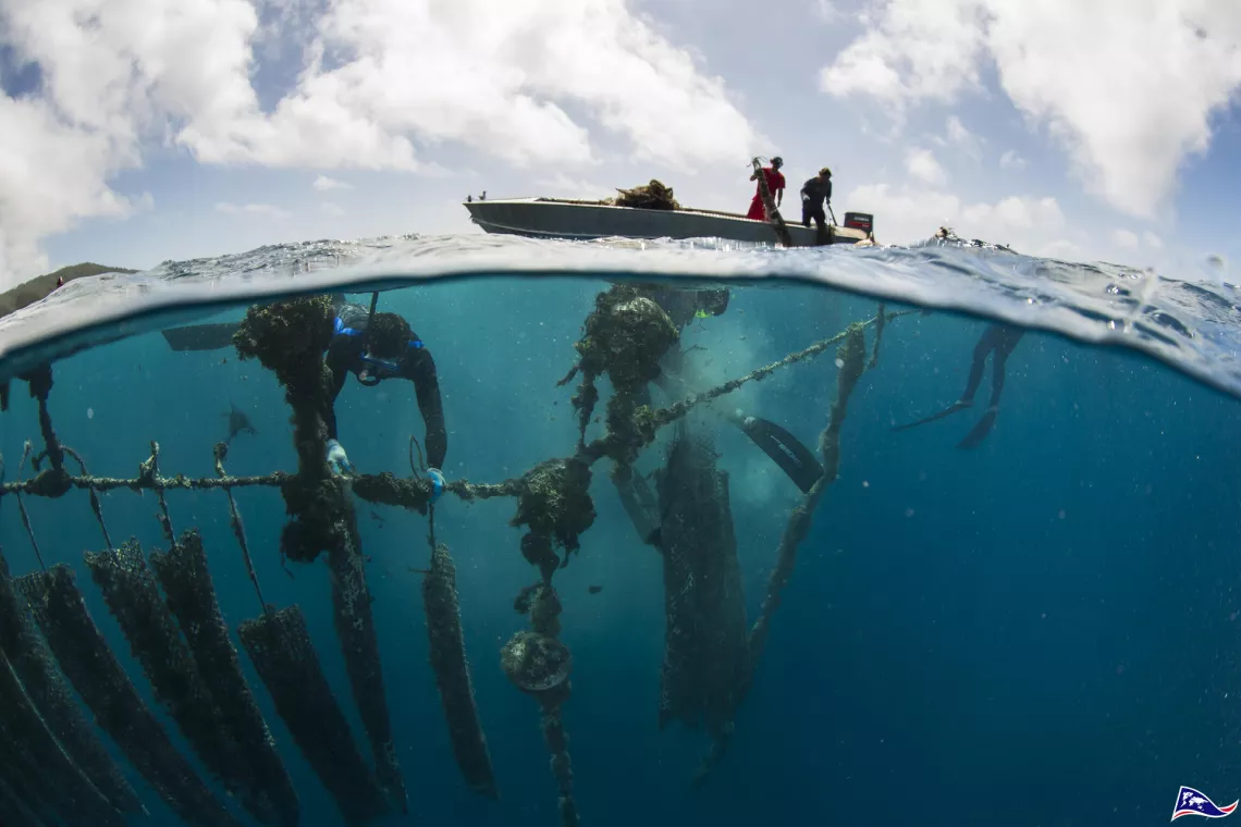 © Ben Thouard LE GRAND INVENTAIRE DE LA PLANÈTE
