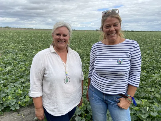 Envie dehors ! Marais poitevin, une bulle de nature