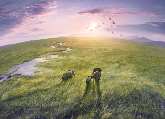 Planète Terre, le triomphe de la vie