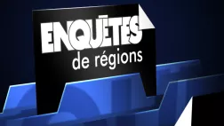 Enquêtes de régions Enquêtes de régions