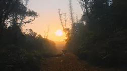terre de métal