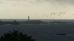 Ouessant