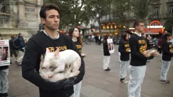 © Tony Comiti LA MALTRAITANCE ANIMALE