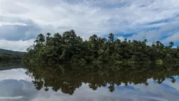 © Nathalie Guyon / FTV ILLUSTRATION GUYANE
