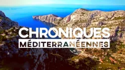 Chroniques Med le logo CHM logo