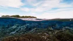 BBC PLANÈTE BLEUE 2