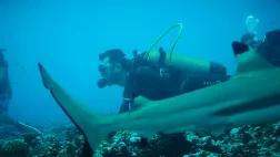 Une saison à Tahiti Une saison à Tahiti