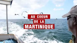Au coeur de la Martinique Au coeur de la Martinique