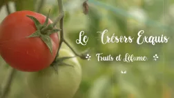 Trésors Exquis Trésors Exquis