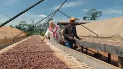 Cacao et chocolat Cacao et chocolat