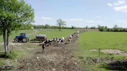 Le sens de la terre