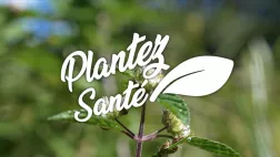Visuel Magazine Plantez-Santé Visuel Magazine Plantez-Santé