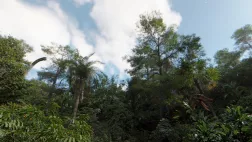 Jeu interactif "Sur la terre des dinosaures"