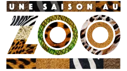 Logo Une saison au zoo Logo Une saison au zoo