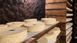 Nos terres gourmandes