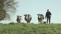Le dernier des laitiers