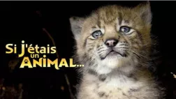 Si j'étais un animal Si j'étais un animal
