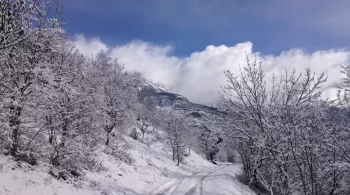 Paysage sous la neige