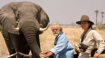 L’âme des éléphants