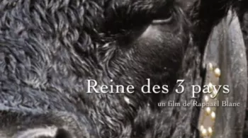 Doc REINES DES 3 PAYS