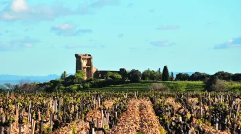 Châteauneuf-du-Pape