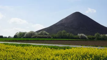 TERRIL