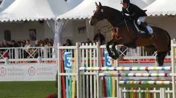 Mondial du Lion d'Angers - FTV