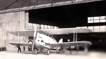 LA TRAQUE DE L'OISEAU BLANC