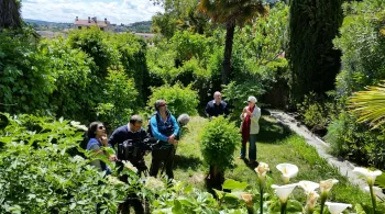 Chroniques Méditerranéennes