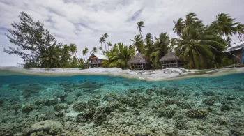 POLYNESIE, L'ARCHIPEL DE TUAMOTU