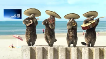 Un été dans l'Est avec habillage estival